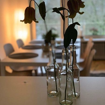 Ferienwohnung Parkblick BRE Exteriör bild